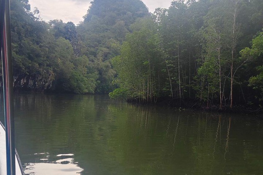 Une rivière paisible, bordée d’une forêt dense, avec une montagne en arrière-plan. 2