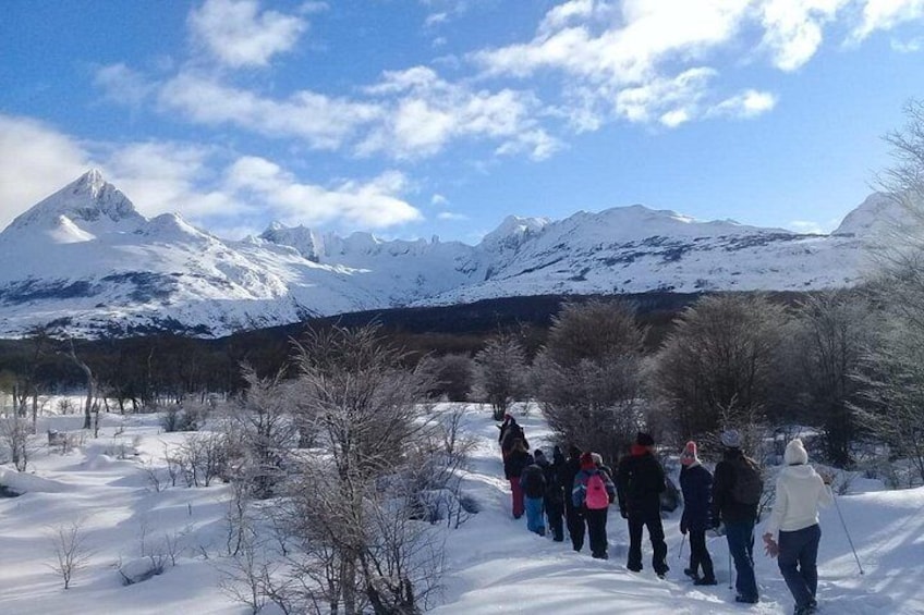 A group of people cross-country skiing on a snowy trail with snow-covered mountains in the background. 3