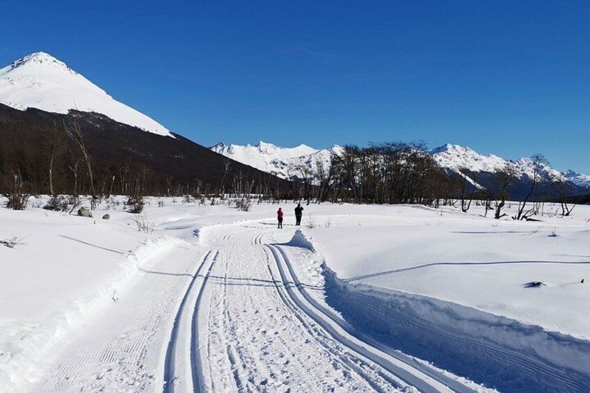 A snowy landscape with a clear sky, a mountain in the background, and a trail with footprints. 2