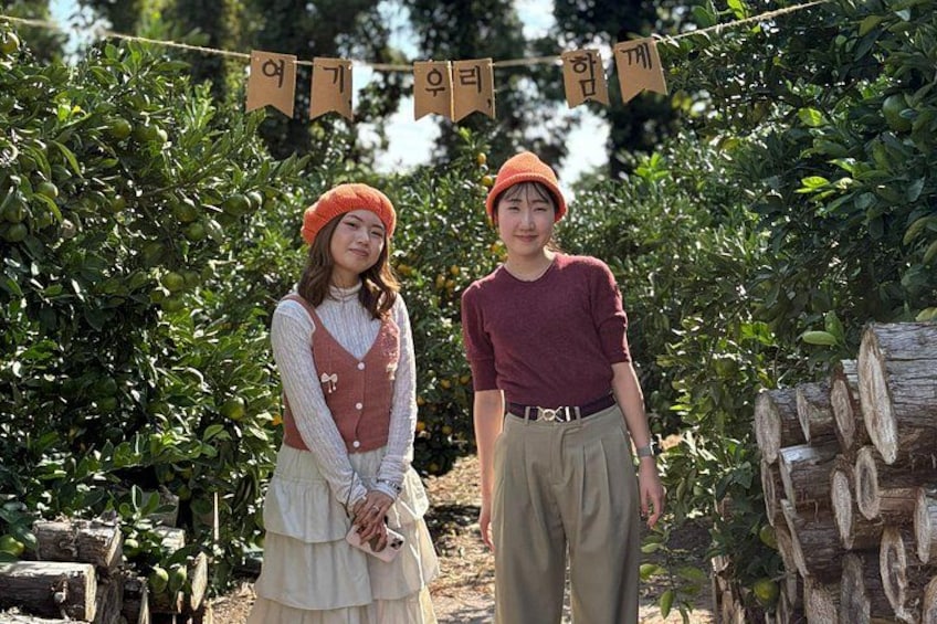Small Group Tour for Jeju Fall Pink Muhly, Tangerines & Mt. Halla 4