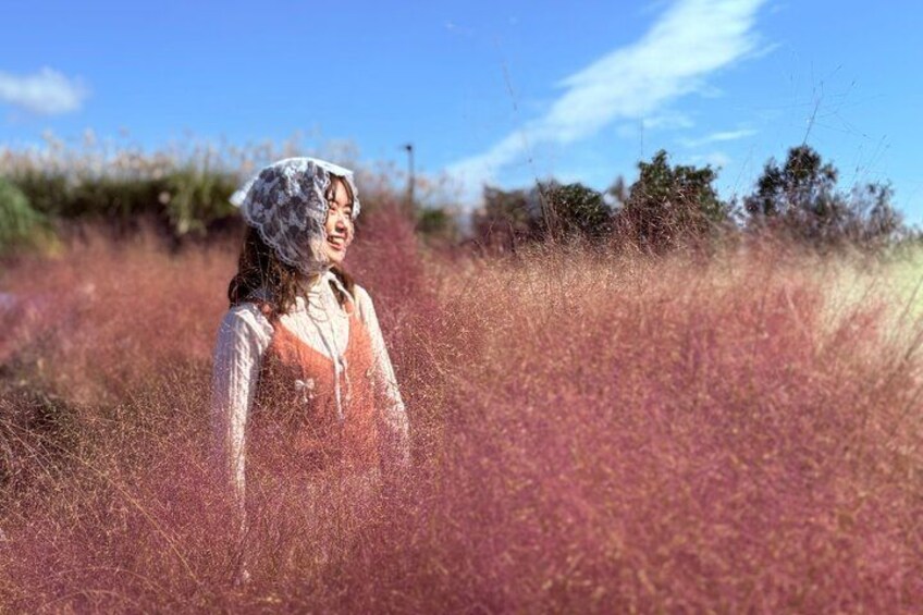 Small Group Tour for Jeju Fall Pink Muhly, Tangerines & Mt. Halla 3