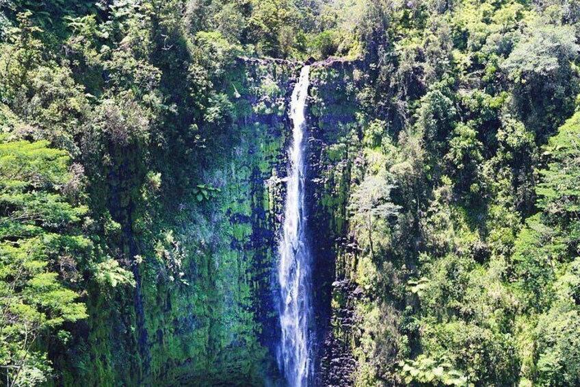 Big Island in a Day-Explore Volcanoes, Waterfalls, Beaches & more 2