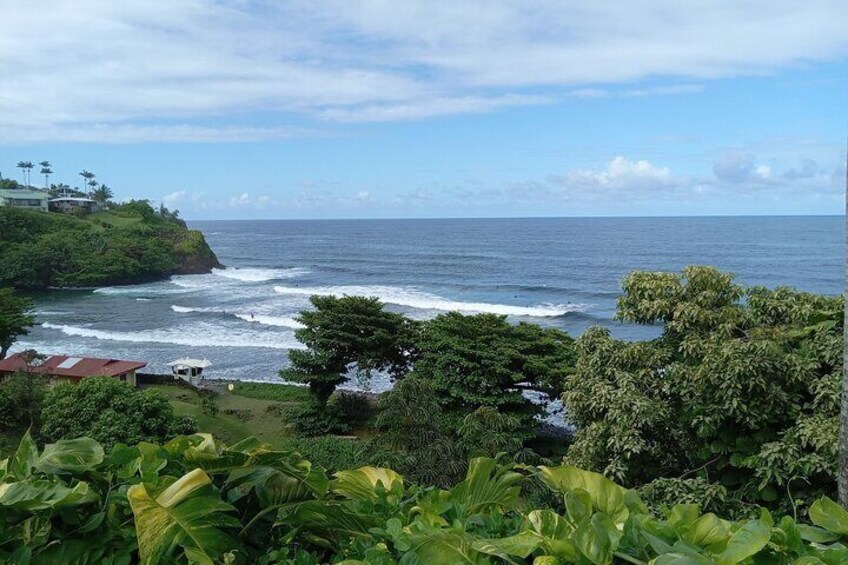 A coastal landscape with lush greenery, a view of the ocean, and a few buildings on a hillside. 5