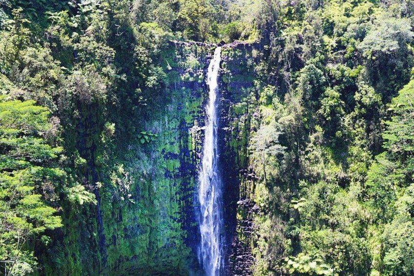 Big Island in a Day-Explore Volcanoes, Waterfalls, Beaches & more 2