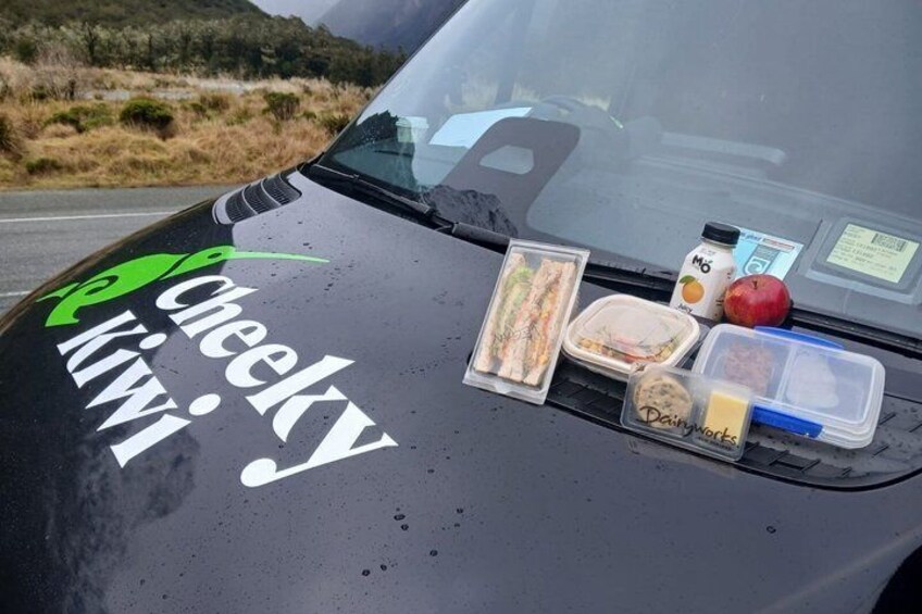 Te Anau to Queenstown via Milford Sound Tour with Cruise & Lunch 3