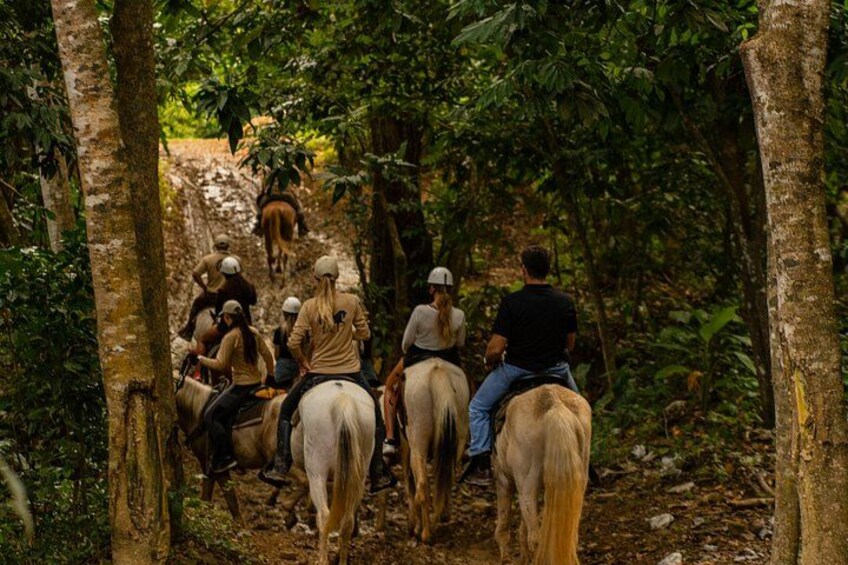 A group of people riding horses through a forested area. 4