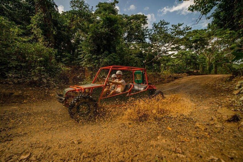 A red off-road vehicle on a dirt road surrounded by dense greenery. 5