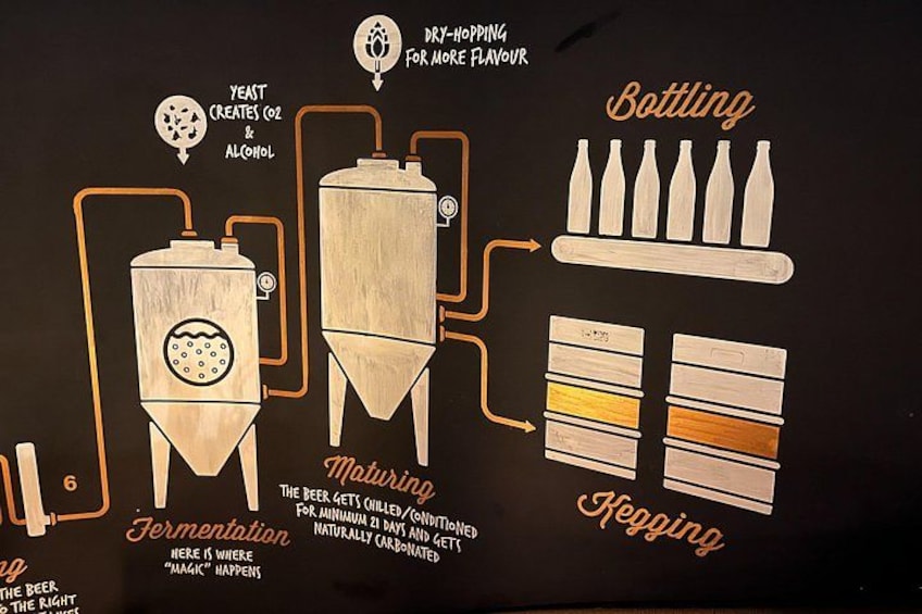 A beer brewing process flowchart with fermentation, maturing, bottling, and kegging stages. 2