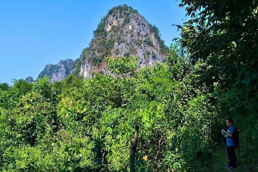 Luang Prabang Mountain Trek to Kuang Si Waterfall with Lunch 5