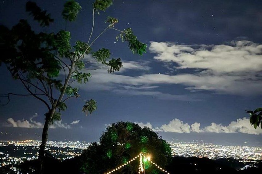 A night scene with a tree, a hill with lights, and a cityscape in the background. 2