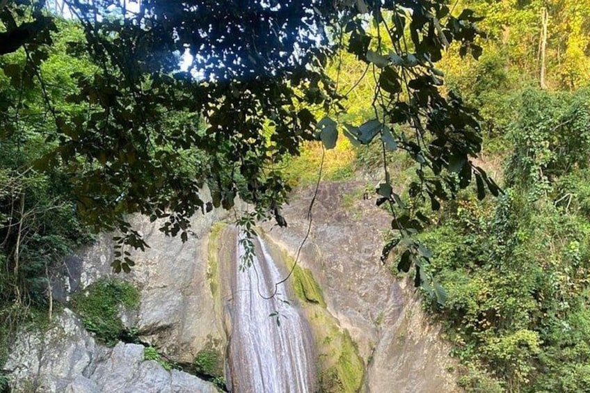A waterfall cascading down a rocky cliff surrounded by dense foliage. 1