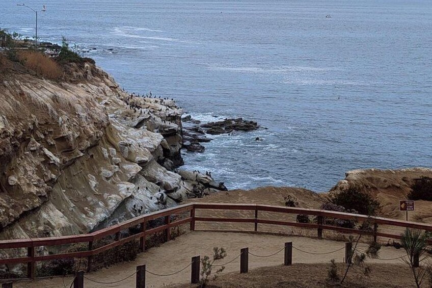 La Jolla Cove 3