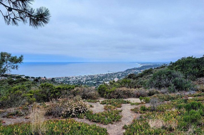Coastal View 2