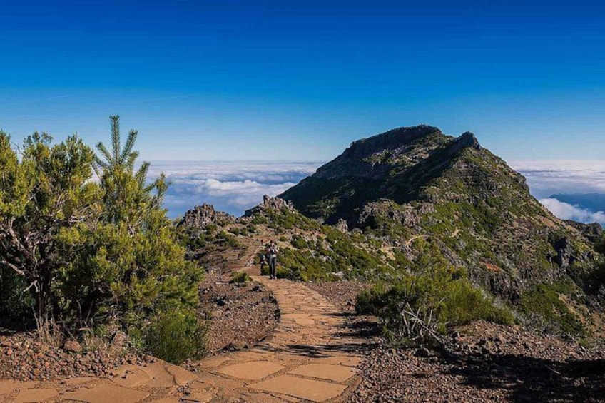 PR1.2 Pico Ruivo & Achada do Teixeira Self-Guided Hiking Transfer 3
