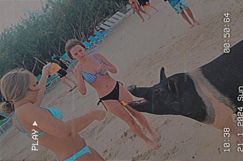 Exclusive Snorkeling and Secluded Beach Day 3