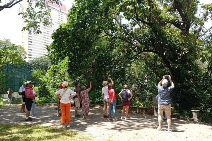 Een groep mensen staat te fotograferen in een park met bomen en een gebouw op de achtergrond. 2