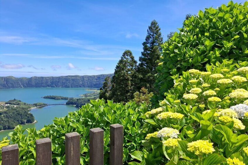 A lake surrounded by greenery and a wooden fence. 1