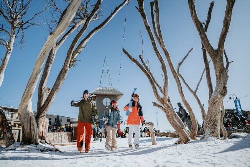 People walking on a snow-covered path with bare trees and a building in the background. 5