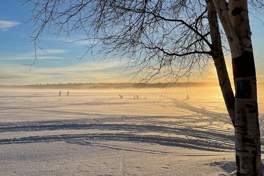 A frozen landscape with bare trees and a clear sky. 1