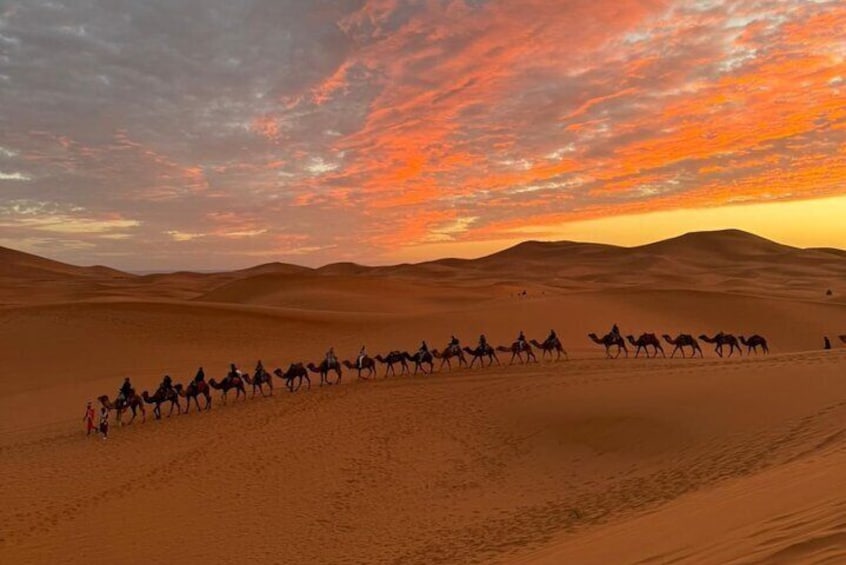 Un carovaniero di cammelli in un deserto al tramonto. 4