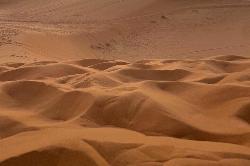 Un vasto paesaggio desertico con dune di sabbia sinuose. 5