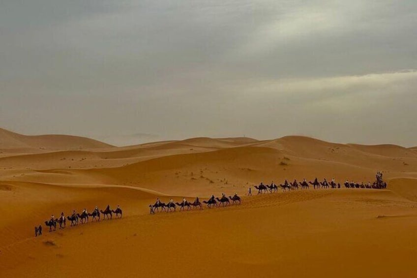Un gruppo di persone cavalca attraverso un paesaggio desertico con dune di sabbia. 1
