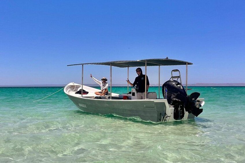 Wildlife expedition in the Sea of Cortez private trip 5