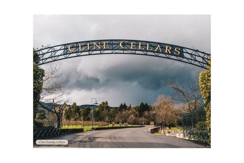Cline Cellars 4