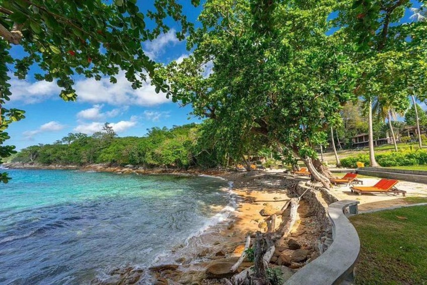 A beach with clear turquoise water, a sandy shore, and lounge chairs under a large tree. 2