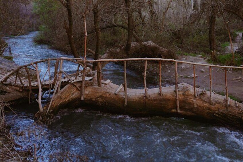 Un puente de madera sobre un río caudaloso rodeado de árboles. 3
