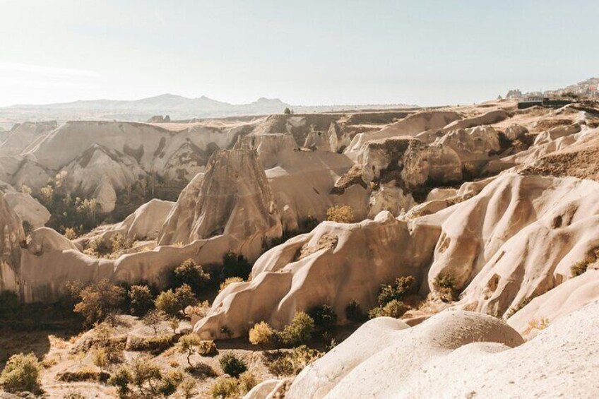 Paisaje desértico con formaciones rocosas erosionadas y vegetación escasa. 4
