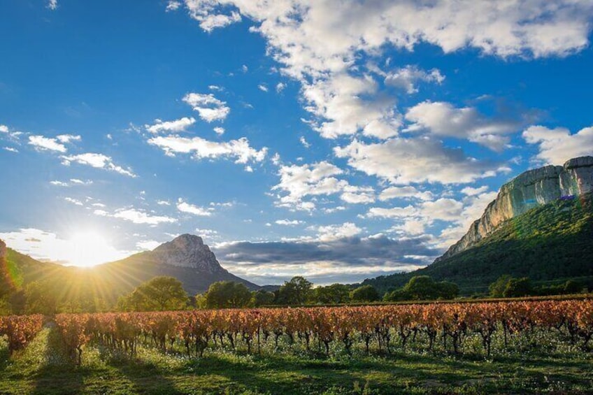 Full-Day | Corbières & Lagrasse | Abbey, Village, Wine Tasting 4