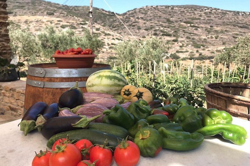 A variety of fresh vegetables including tomatoes, cucumbers, and bell peppers on a table with a desert landscape in the background. 1