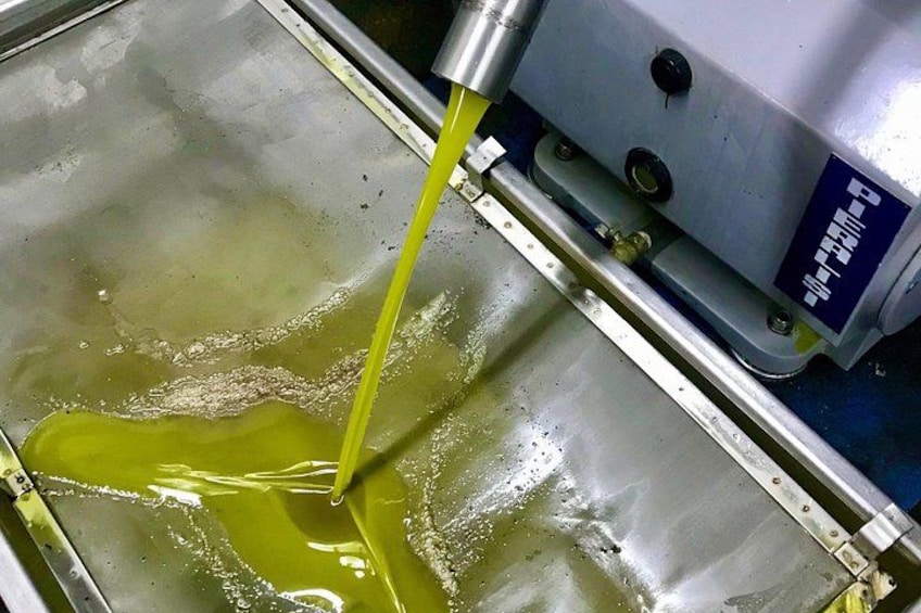 A machine dispensing a yellow liquid onto a metal surface. 5