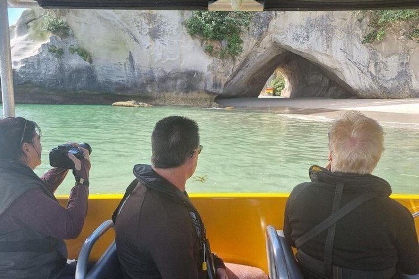Cathedral Cove 2 Hour Guided Tour Explore Marine Wonders 3