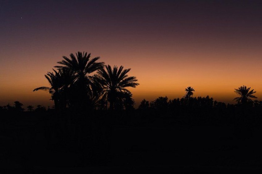 An Unforgettable Night Between Oasis and Desert Music and Traditions 3