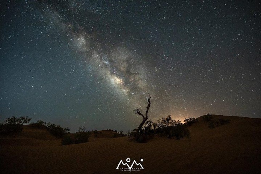 An Unforgettable Night Between Oasis and Desert Music and Traditions 2