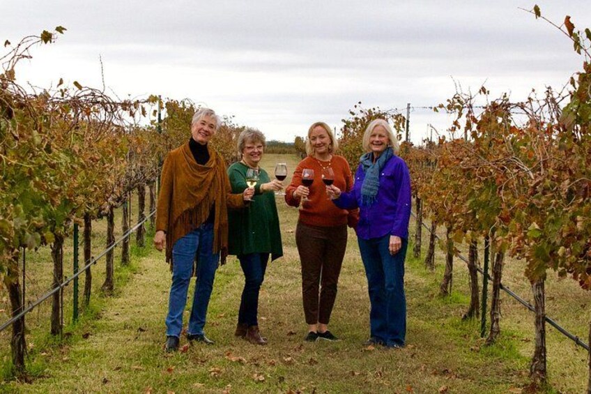 A group of people standing in a vineyard with rows of grapevines. 1