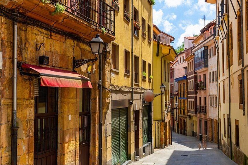 Oviedo Street 3