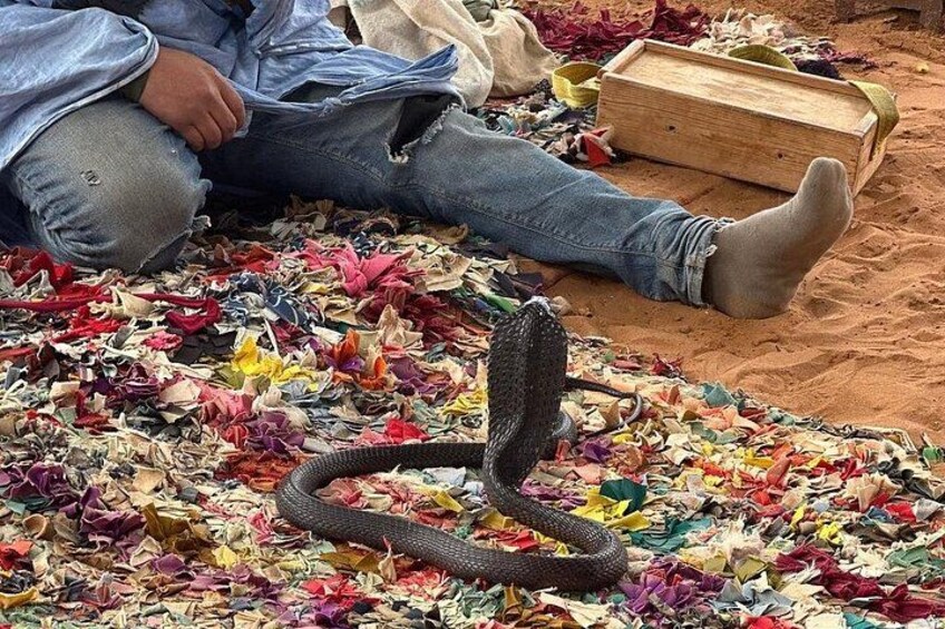 Una persona sentada en el suelo rodeada de papel triturado y de colores, con una serpiente enrollada en primer plano. 2