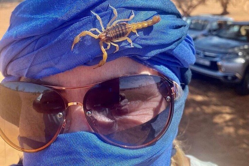 Una persona con un pañuelo azul con diseño de escorpión, gafas de sol, y un vehículo al fondo. 1