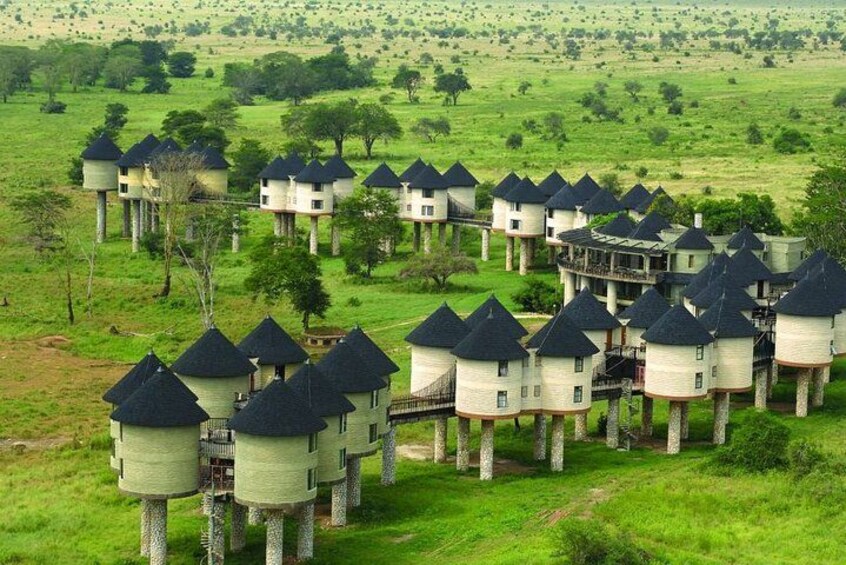 A series of treehouse accommodations in a grassy field. 4