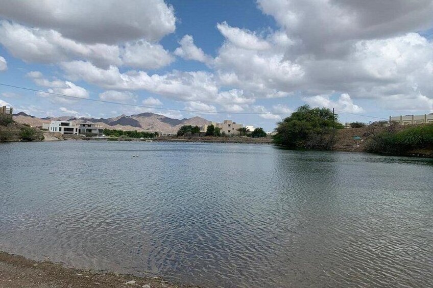 Private Full Day Hatta Visit Dam Heritage Village Lake 1 to 6 Pax 3