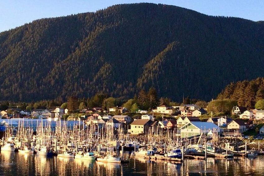 Beautiful Sitka Sunset & Wildlife Cruise 2-Hour Private Charter 5