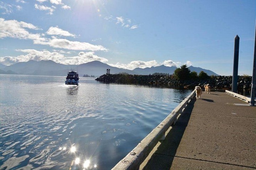 Beautiful Sitka Sunset & Wildlife Cruise 2-Hour Private Charter 5