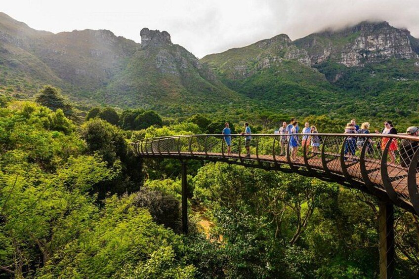 Kirstenbosch 3