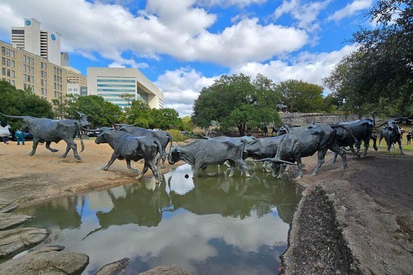 Cattle Drive 3