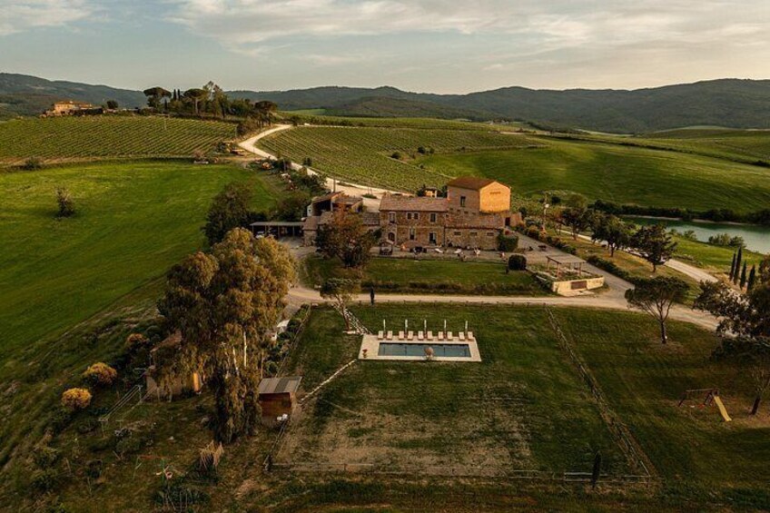 Una extensa propiedad con piscina, rodeada de campos verdes exuberantes y viñedos. 2