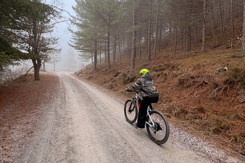 A cyclist on a gravel road surrounded by trees. 1