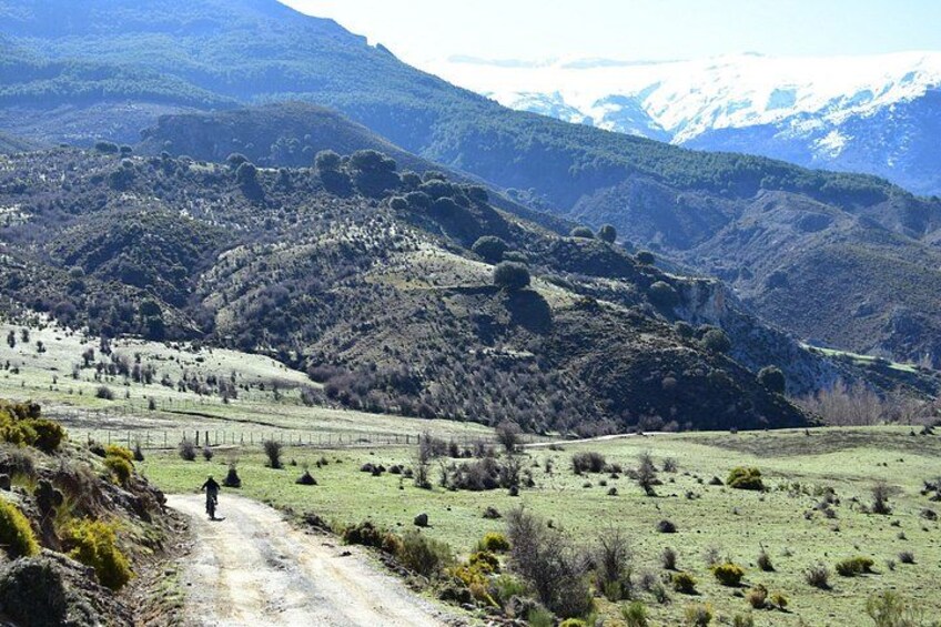 A dirt road winding through a hilly landscape with sparse vegetation and distant snow-capped mountains. 2
